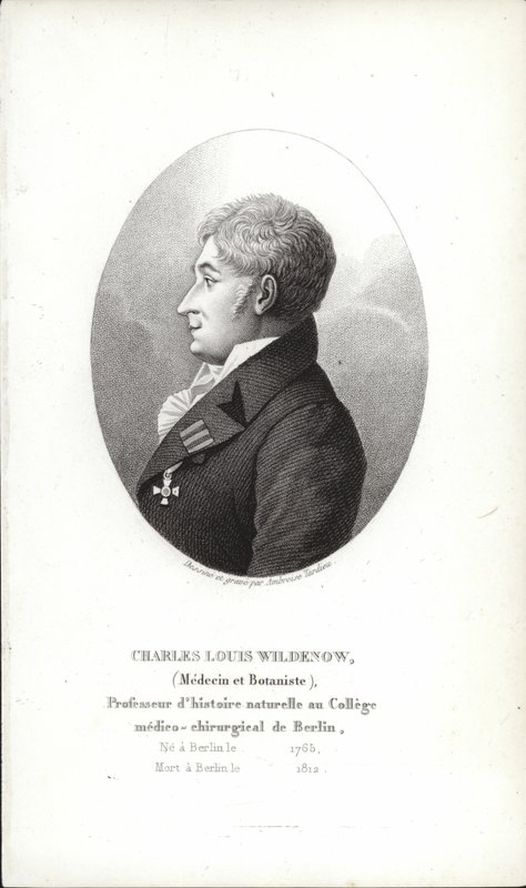 Charles Louis Wildenow od German School
