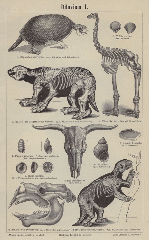 Prehistorická zvířata (rytina) od German School