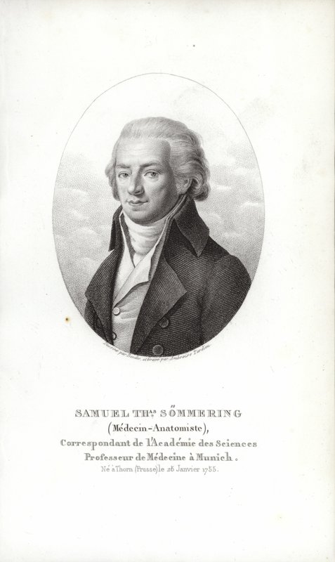 Samuel Thomas von Soemmerring od German School