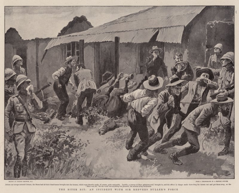 Biter Bit, Incident s Force Sir Redvers Buller