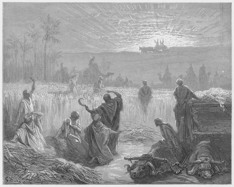 Gustave Dore Bible: Návrat archy do Bet-Shemesh od Gustave Dore