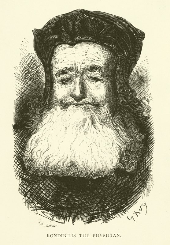 Ilustrace k dílům Rabelaise od Gustave after Dore