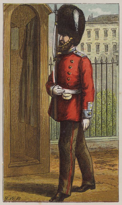 Granátník (barva lito) od H.W. (after) Petherick