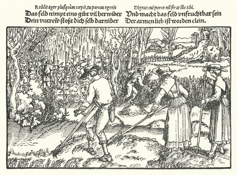 Ženci (rytí) od Hans (after) Burgkmair