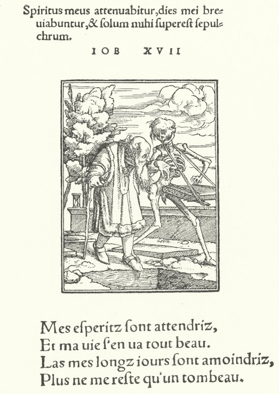 Starý muž (rytina) od Hans (after) Holbein the Younger