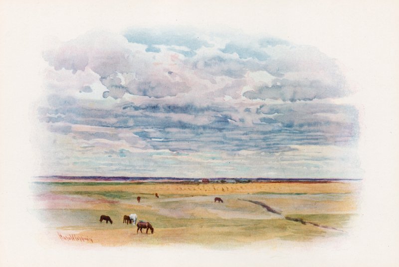 Prairie v Elstow, Saskatchewan od Harold Copping