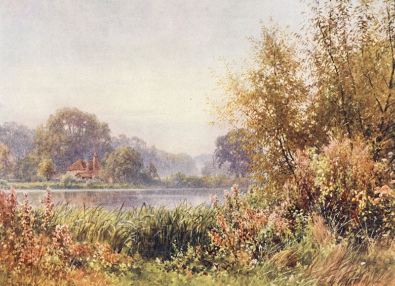 Podzimní plevel, Chilworth (barevná litografie) od Harold Sutton Palmer