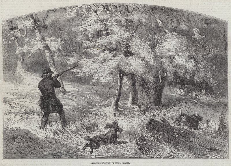 Střelba tetřevů v Novém Skotsku od Harrison William Weir