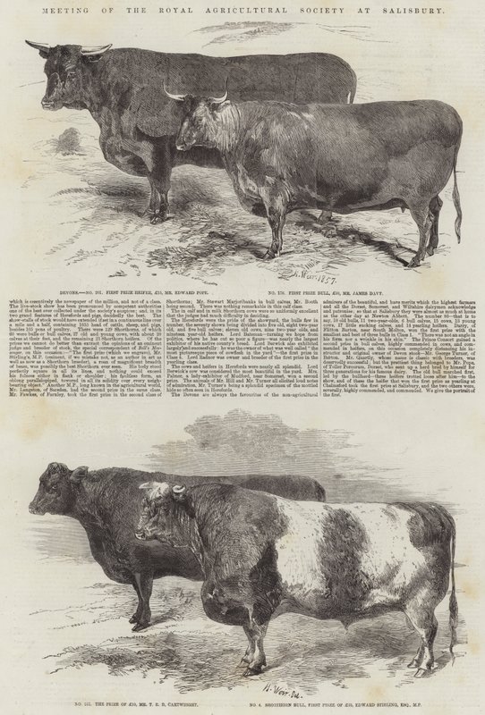 Setkání Královské zemědělské společnosti v Salisbury od Harrison William Weir
