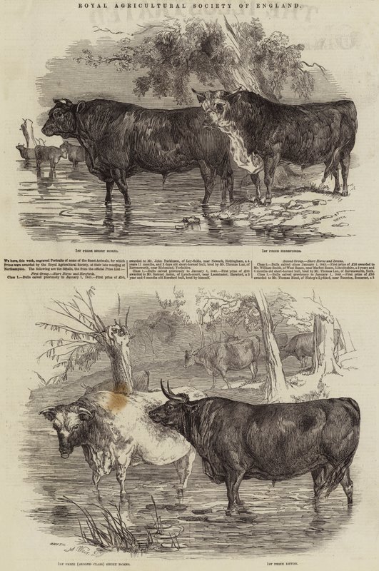 Královská zemědělská společnost Anglie od Harrison William Weir