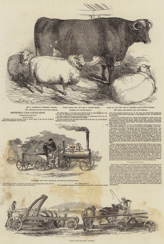 Klubová výstava dobytka Smithfield od Harrison William Weir
