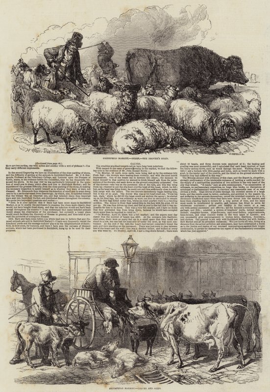 Smithfield Market od Harrison William Weir
