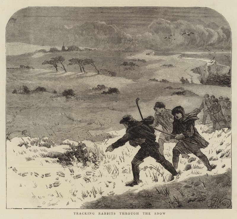 Sledování králíků ve sněhu od Harrison William Weir