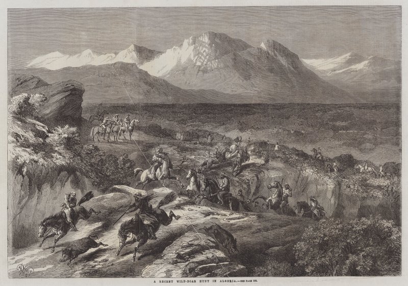 Nedávný lov divokých prasat v Alžírsku od Harrison William Weir