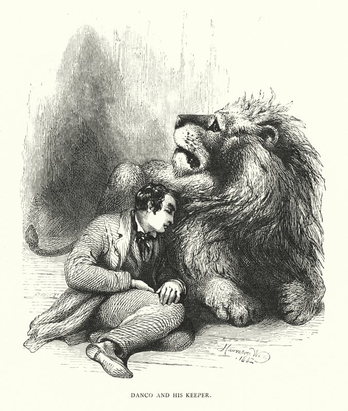 Lev a jeho strážce (rytina) od Harrison William Weir