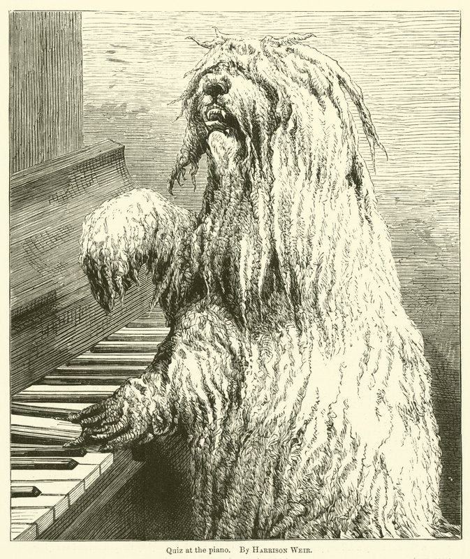 Kvíz u klavíru od Harrison William Weir