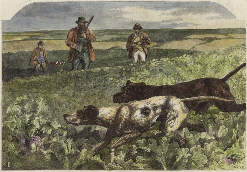 Prvního září od Harrison William Weir