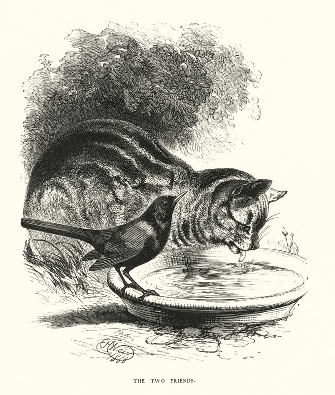 Dva přátelé (rytina) od Harrison William Weir