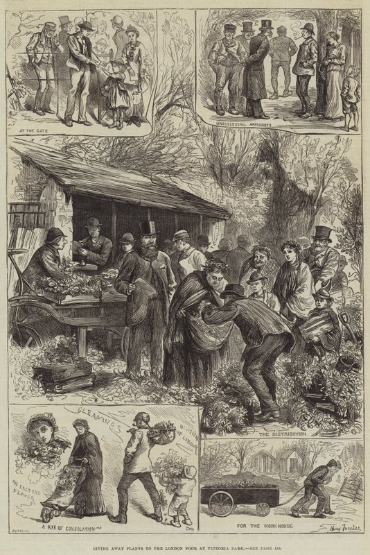 Rozdávání rostlin londýnským chudým ve Victoria Parku od Harry Furniss