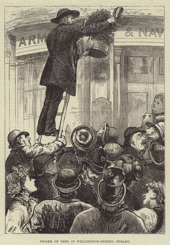 Roj včel v ulici Wellington-Street, Strand od Harry Furniss