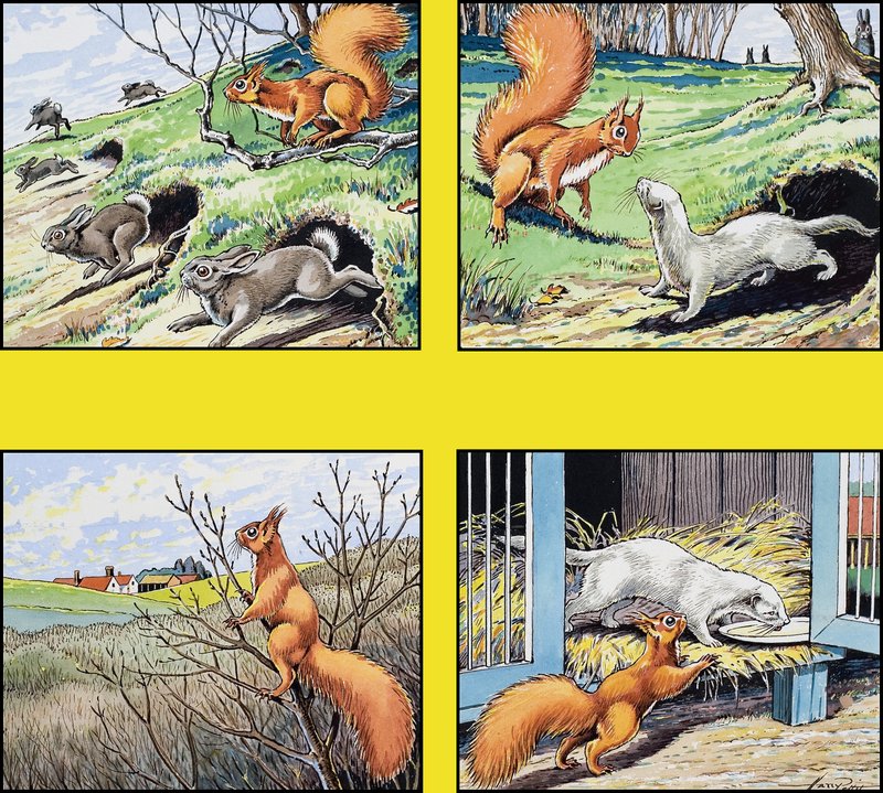 Malá zrzavá veverka od Harry M. Pettit