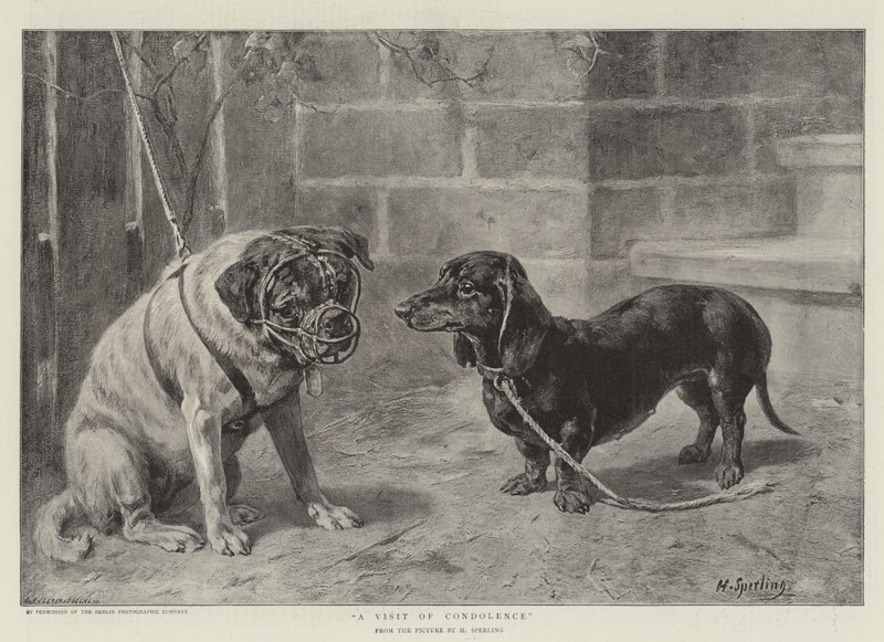 Rytina Návštěva kondolence od Heinrich Sperling