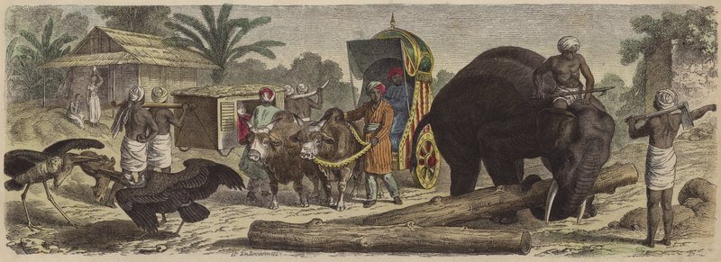 Scéna v Bengálsku, Indie (barevná rytina) od Heinrich Leutemann