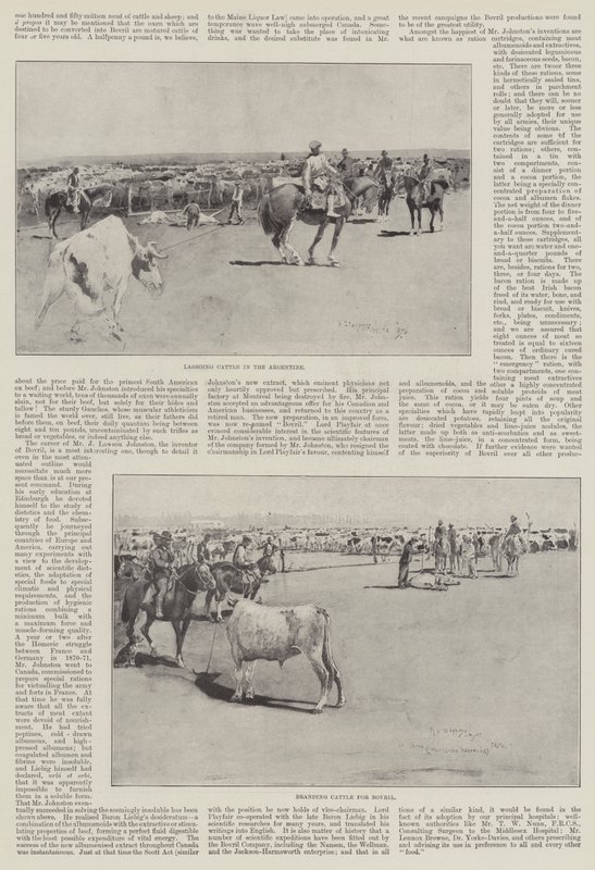 Dobytek v Argentině od Henry Charles Seppings Wright