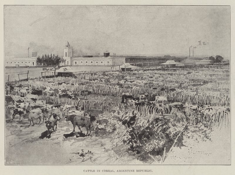 Dobytek v Corral, Argentinská republika od Henry Charles Seppings Wright