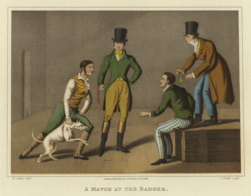 Zápas u jezevce (chromolit) od Henry Thomas Alken