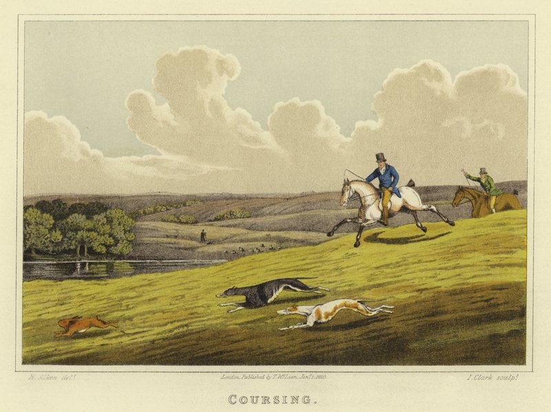 Coursing (chromolitho) od Henry Thomas Alken