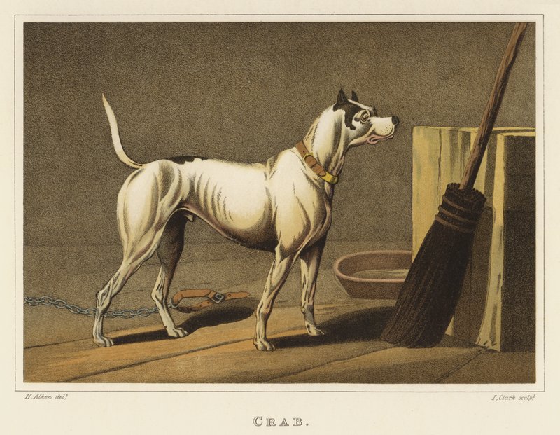 Krab (chromolitho) od Henry Thomas Alken