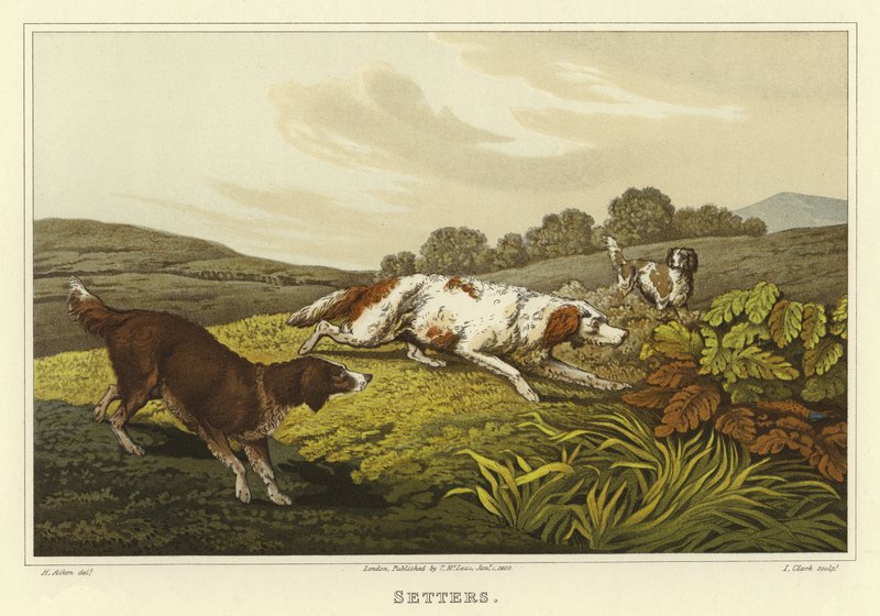 Setři (chromolitho) od Henry Thomas Alken