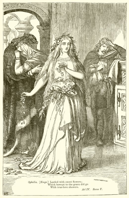 Osada od Henry Courtney Selous