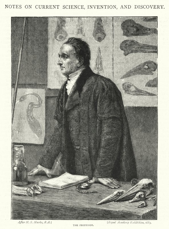 Profesor (rytina) od Henry Stacey (after) Marks