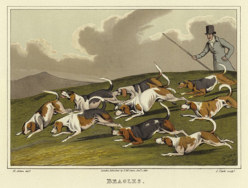Bíglové (chromolitho) od Henry Thomas Alken