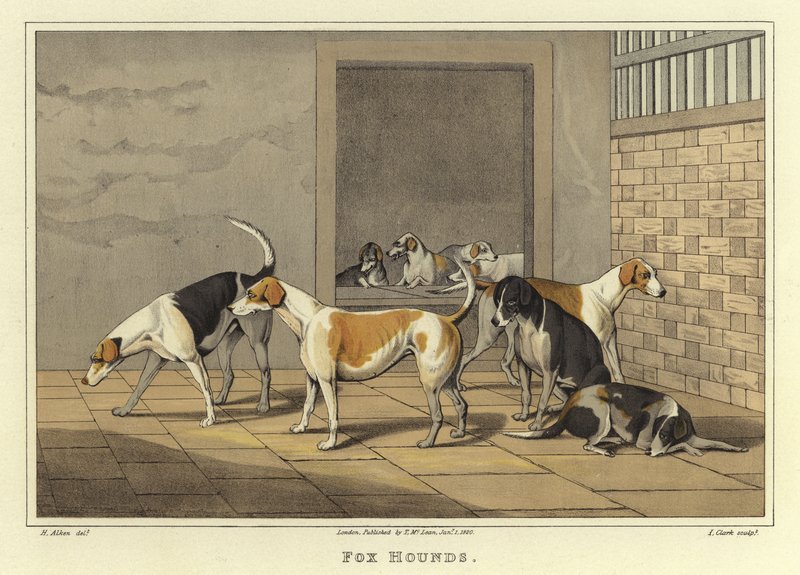 Fox Hounds (chromolitho) od Henry Thomas Alken
