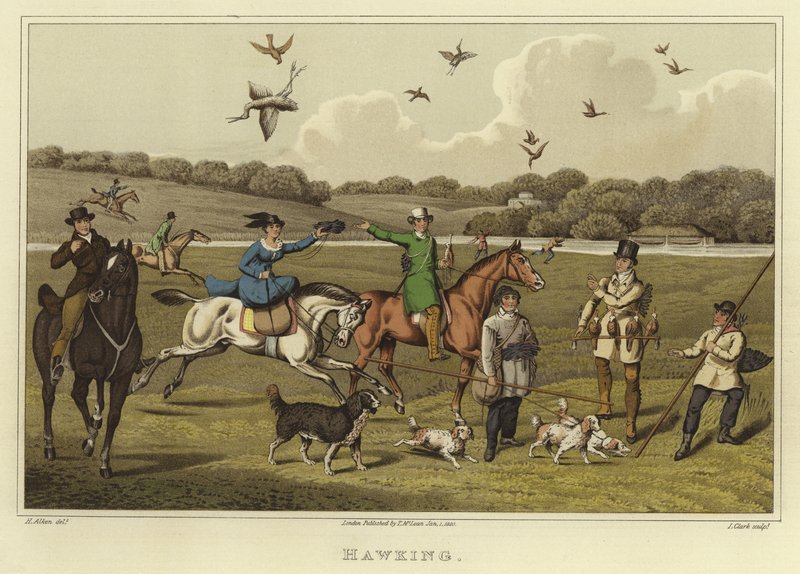 Hawking (chromolitho) od Henry Thomas Alken