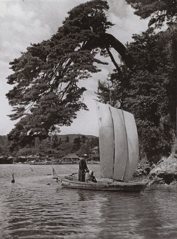 At Matsushima (b/w photo) od Herbert Ponting