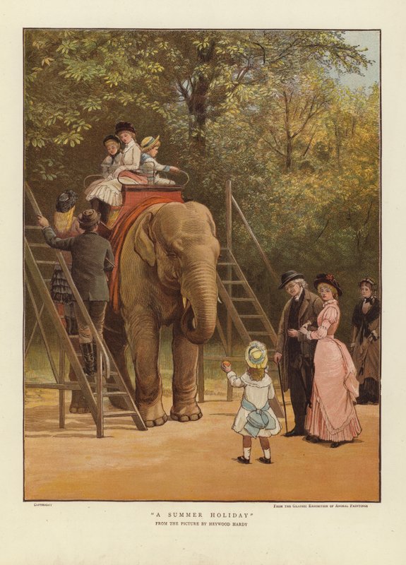 Letní prázdniny od Heywood Hardy