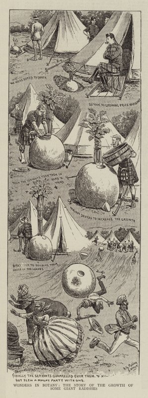 Zázraky botaniky, příběh o růstu některých obřích ředkviček od Horatio Gordon Robley