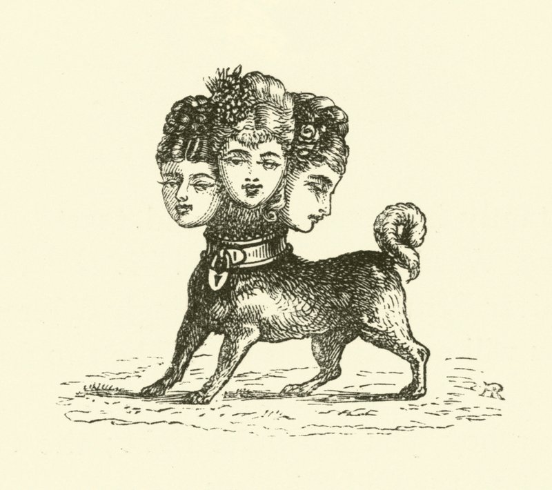 Žena Cerberus (rytina) od Hugh Rowley