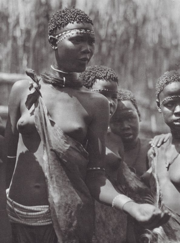 Afrika: Šillucké dívky (čb foto) od Hugo Adolf Bernatzik
