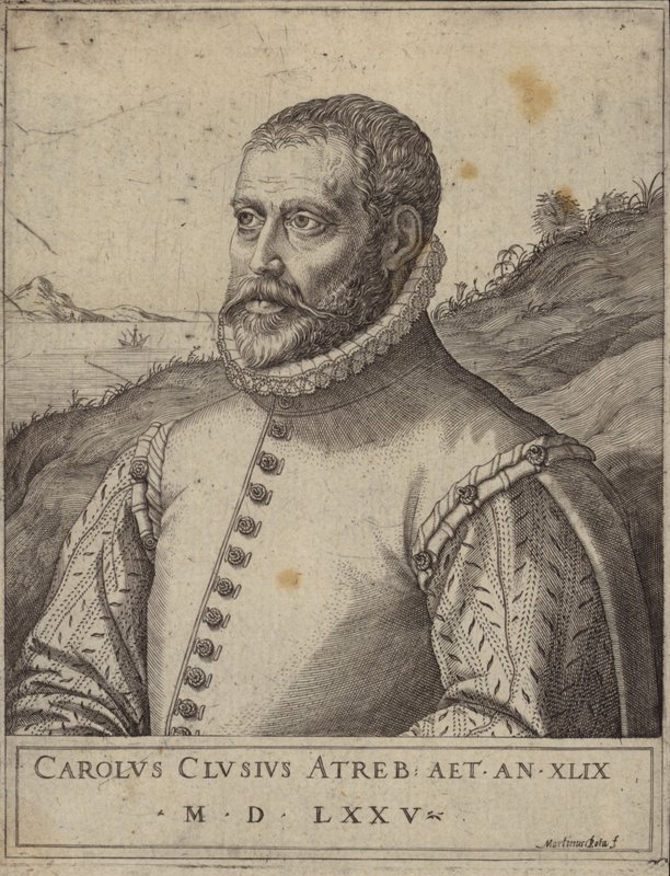 Portrét Carolus Clusius od Italian School