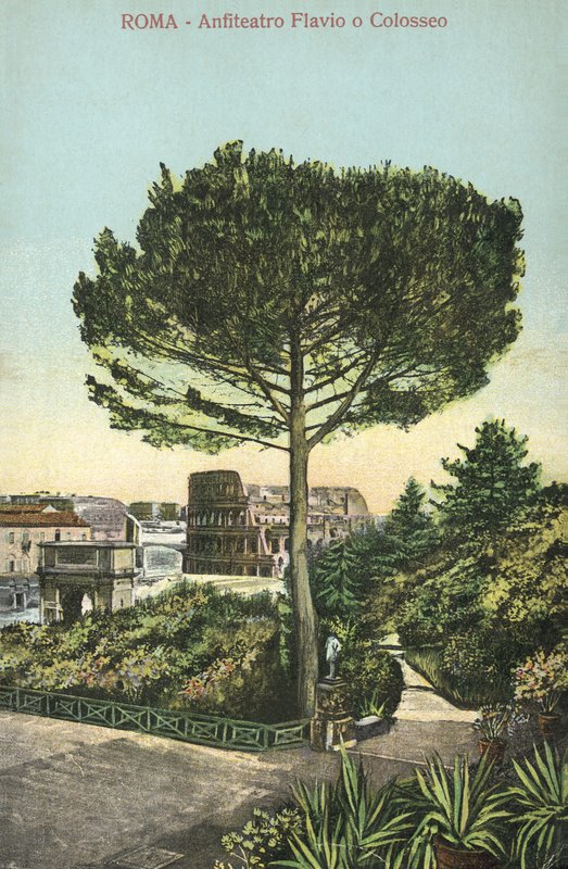 Řím, Itálie, Amfiteátr a Koloseum (barevná litografie) od Italian School