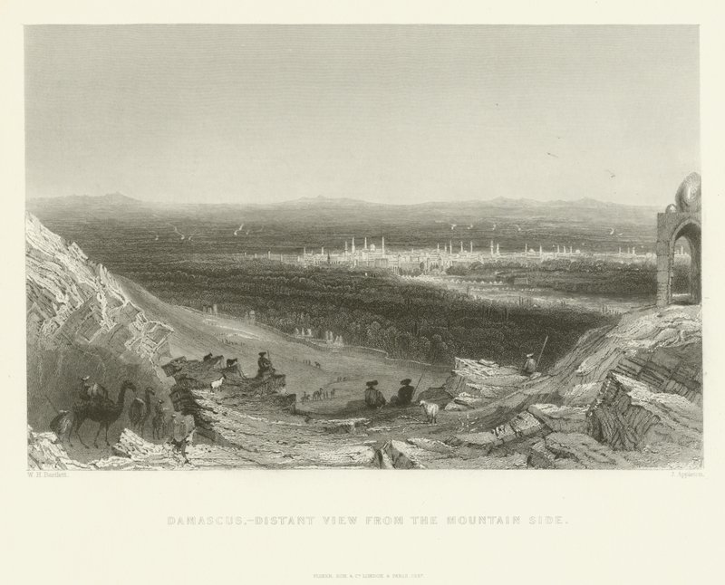 Damašek - Pohled do dálky z horské strany, 1837 od J. Appleton