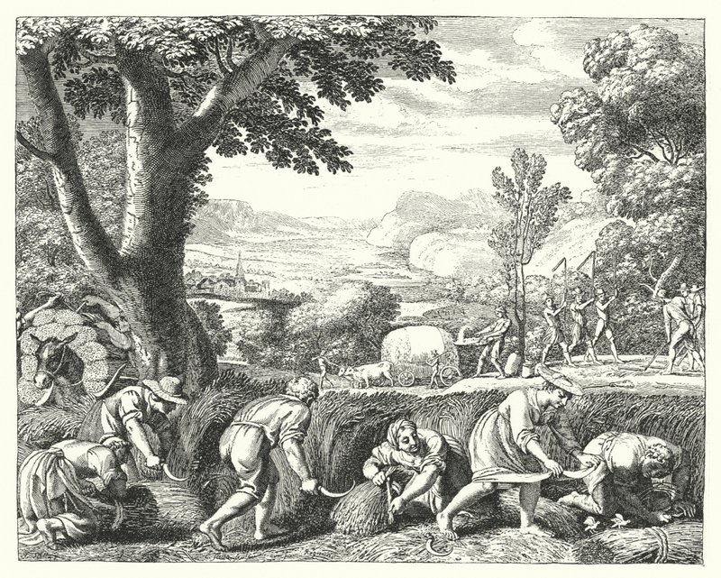 Scéna sklizně (rytina) od Jacques Stella