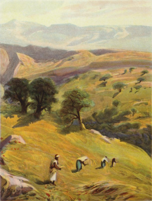 Mezi Jeruzalémem a Jerichem (barevné lito) od James (after) Clark