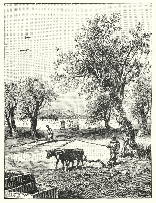 Orba ve vinici (litho) od James (after) Clark