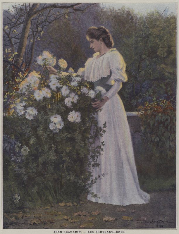 Les Chrysanthemes (Chryzantémy) od Jean Beauduin